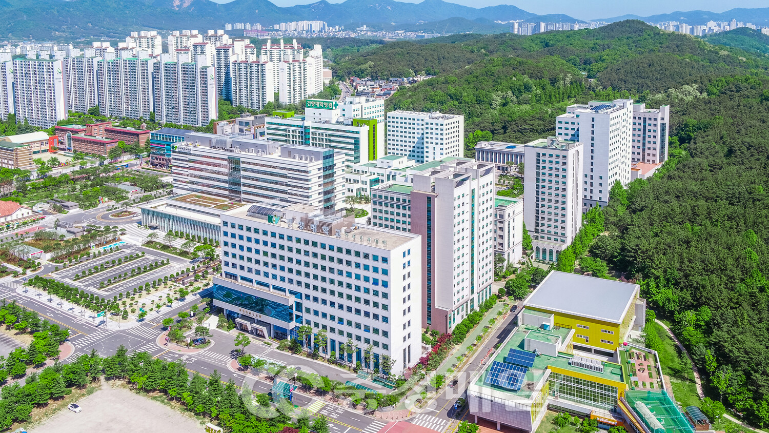 [충청매일] 2025년 ‘취업률 높은 대학 1위’… K-국방산업, 보건 인재 양성 선도